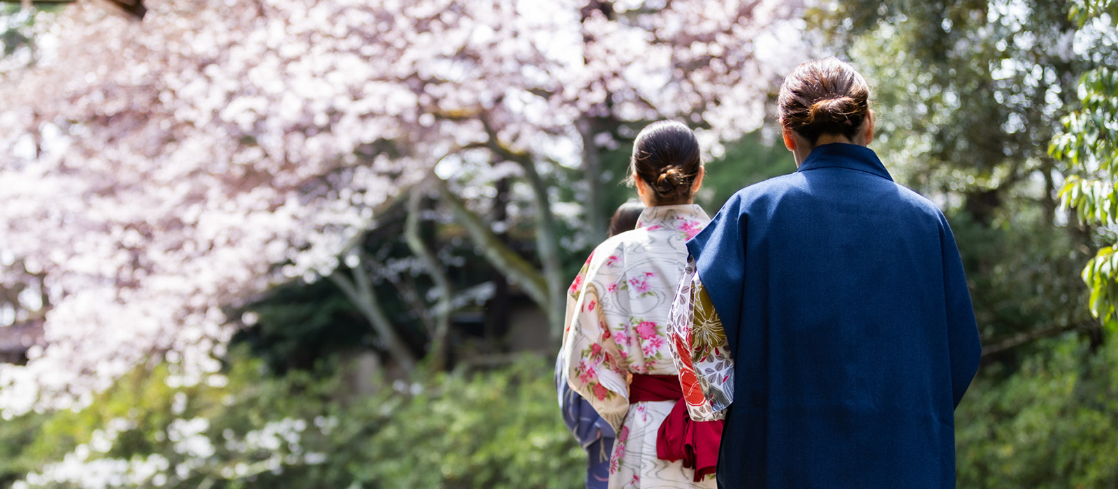 まつさきのおもてなし