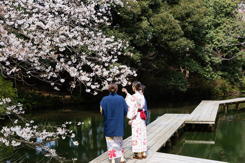 まつさき イメージ