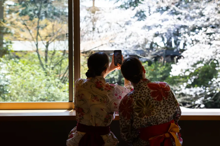 まつさき イメージ