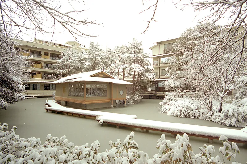 まつさき イメージ