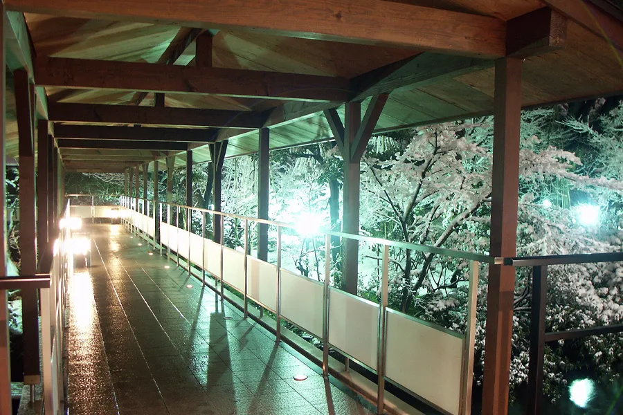 まつさき イメージ