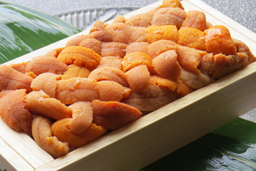 【期間限定】うに