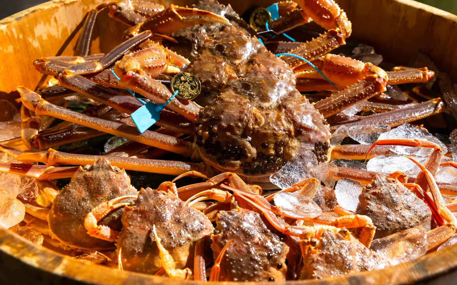 加能蟹と香箱蟹