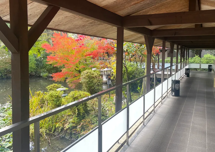 松泉湖庭園の紅葉が見頃を迎える