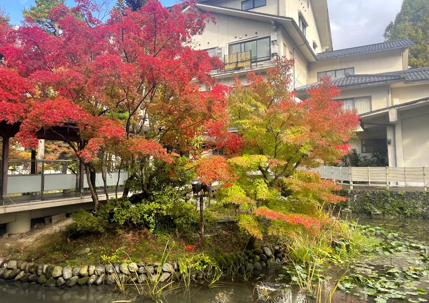 松泉湖庭園の紅葉が見頃を迎える