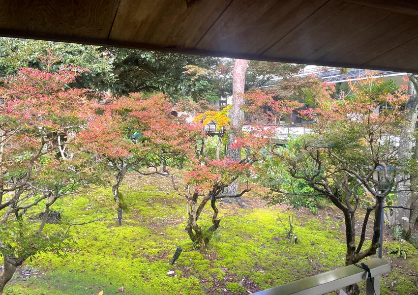 松泉湖庭園の紅葉が見頃を迎える