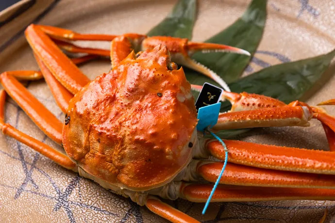 当館の「タグ付き活加能ガニ懐石」は香箱ガニ付！！