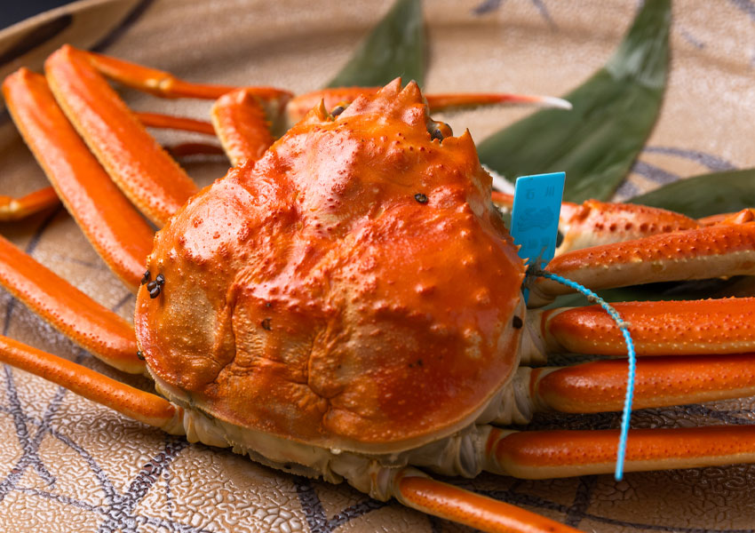 料理長が厳選加能ガニの茹でガニ。